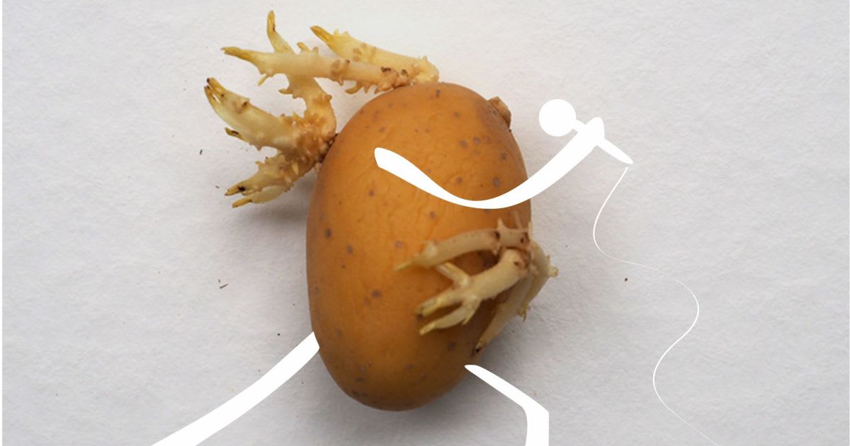 I Created Art With Potatoes During Quarantine (11 Pics)