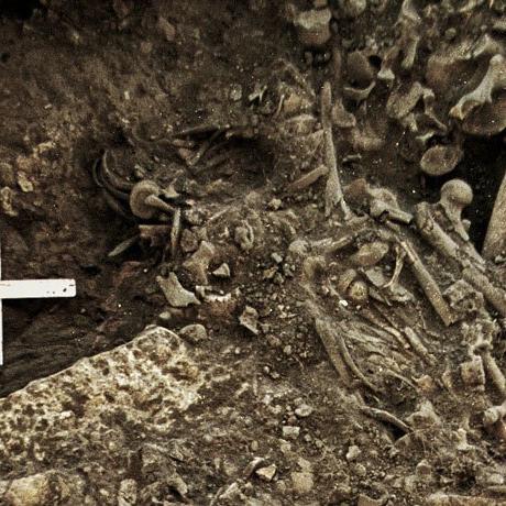 A 5,000-year-old mass grave harbors the oldest plague bacteria ever found
