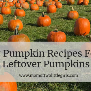 7 Pumpkin Recipes for Leftover Pumpkins! - Mom Of Two Little Girls