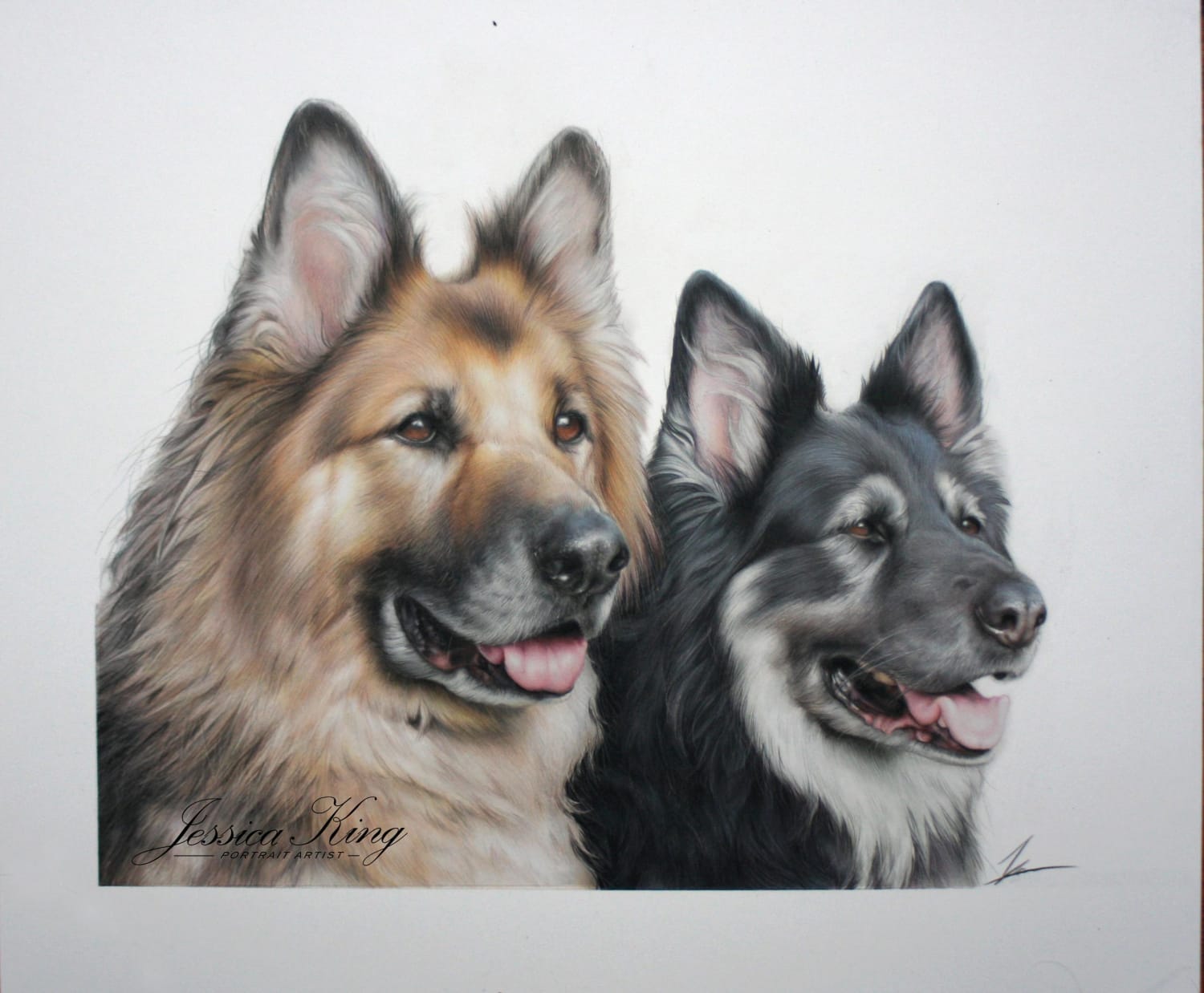 Pencil portrait of 2 German Shepherds by me!