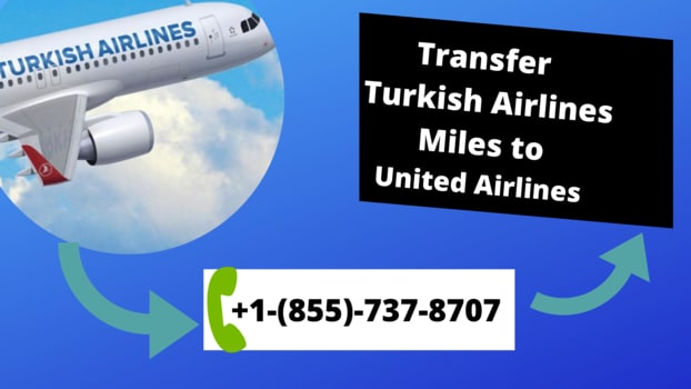 How to Transfer Turkish Airlines Miles to United Airlines?
