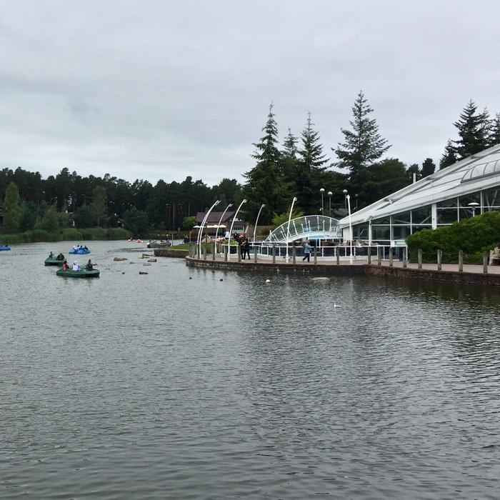 Our Favourite Activities at Center Parcs Whinfell Forest