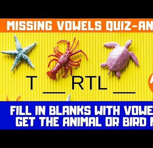 Missing Vowels #quiz #brainteasers | Animal Names | Part 3