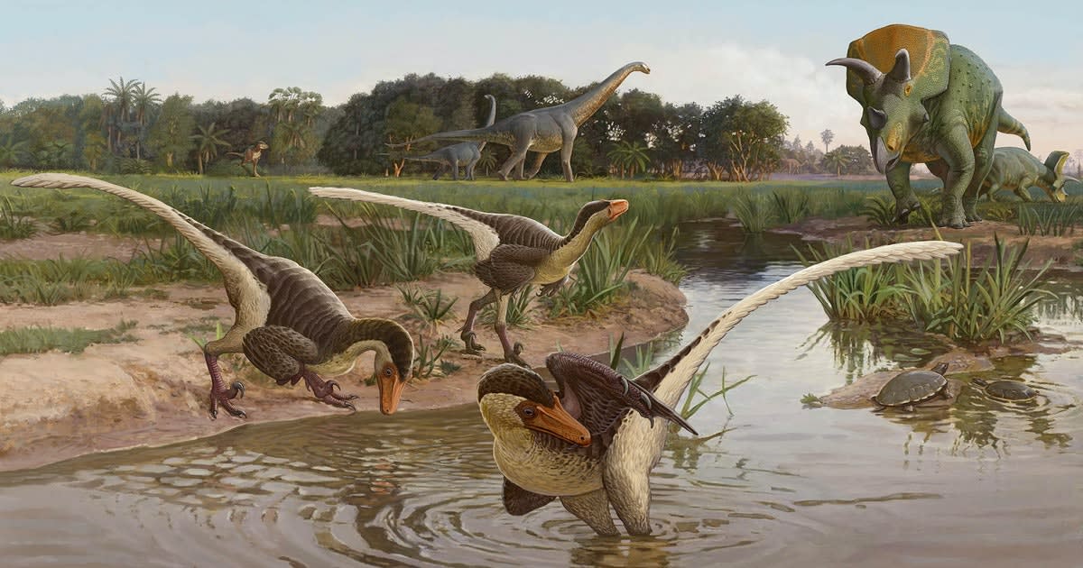 Meet Dineobellator, a new, fierce dinosaur species from 67 million years ago