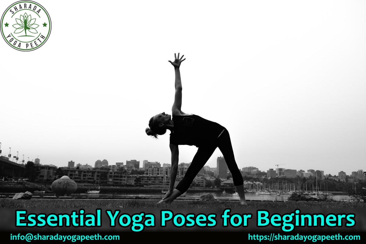 Essential Yoga Poses for Beginner
