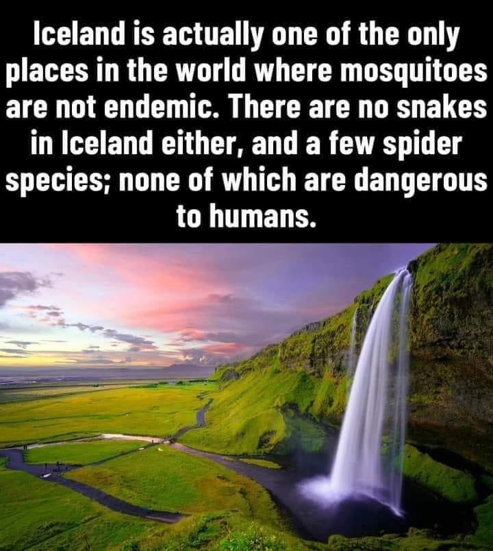 Iceland is safe