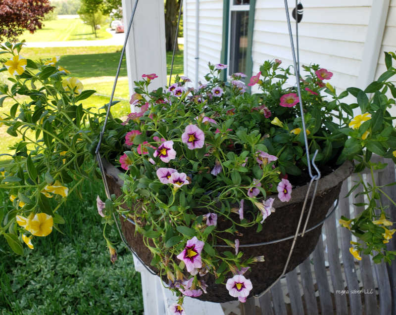 how to make your own hanging flower basket