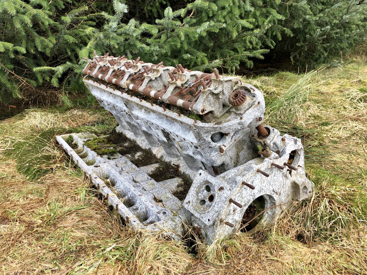 Rolls Royce Griffon V12. It’s been sat on the hillside for 70 years after a RAF Fairey Firefly crashed there.