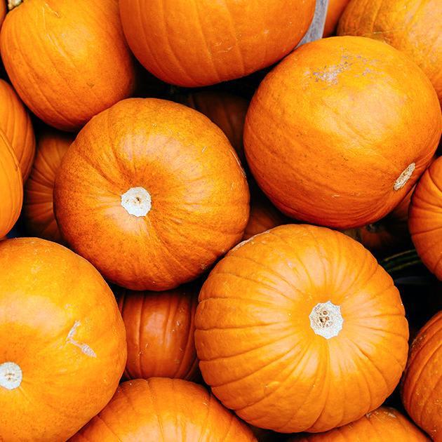 Why Pumpkin Is a Great Nutritional Option All Year Round