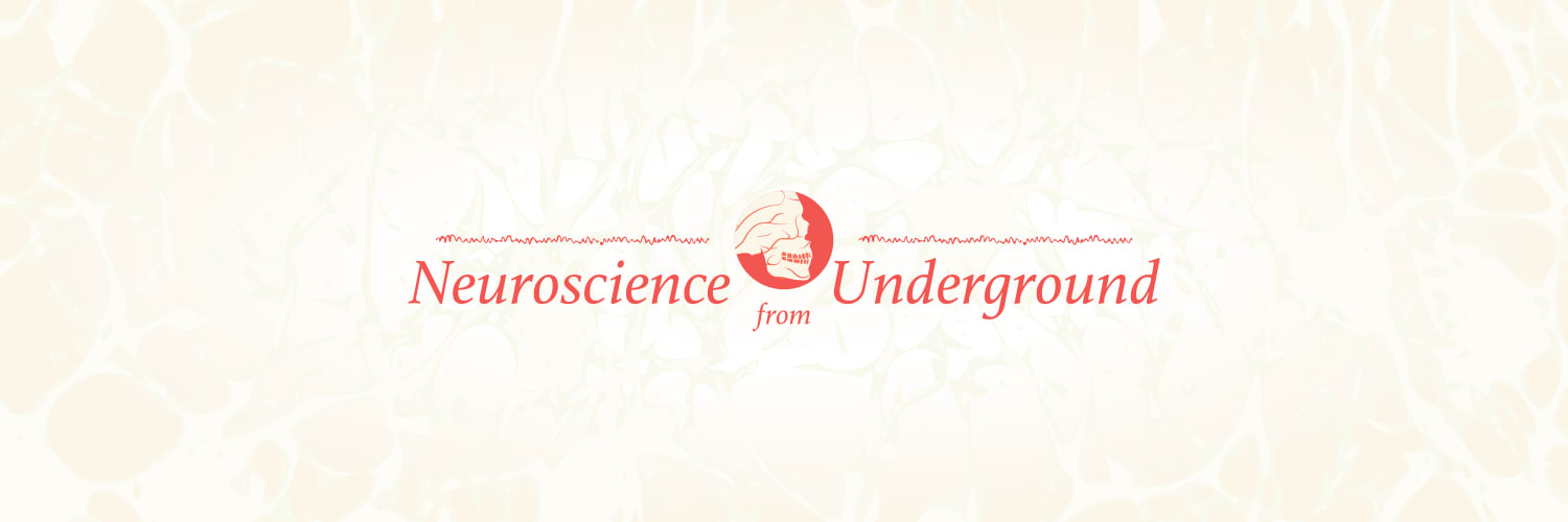 Neuroscience From Underground - blog