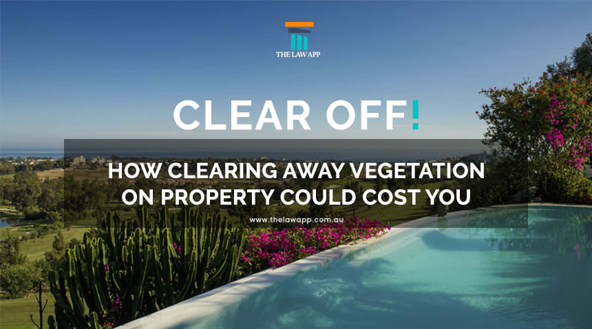 Clear off! How Clearing Away Vegetation on Property Could Cost You