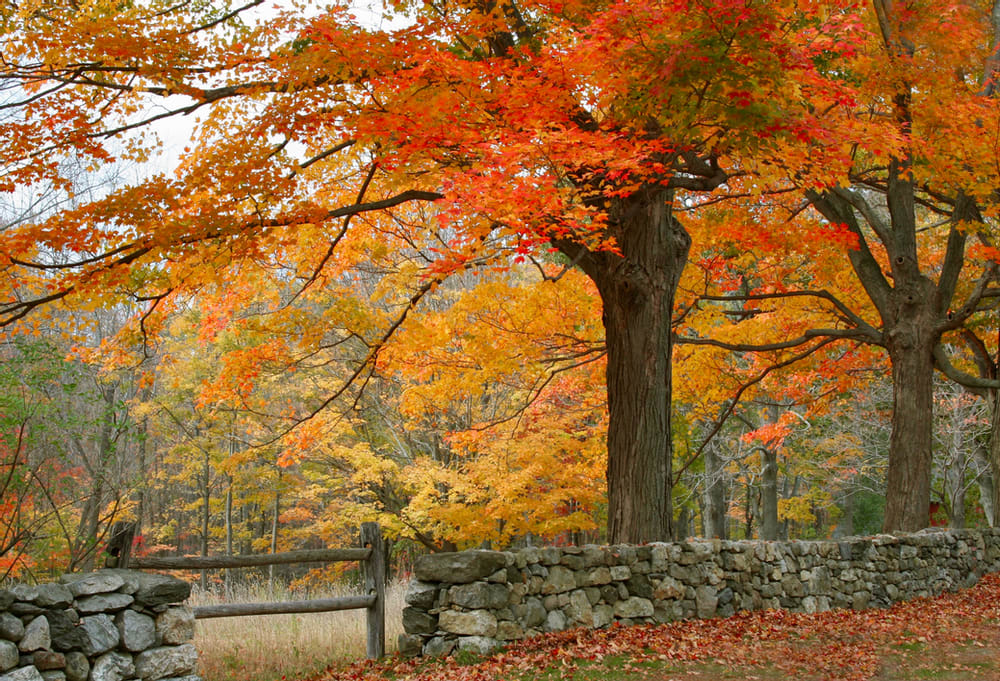 Fall Foliage Road Trip Itinerary for New England