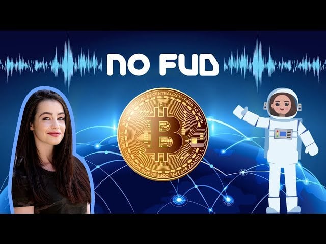 No FUD - Bitcoin Song (TLC No Scrubs, Bitcoin Remix)
