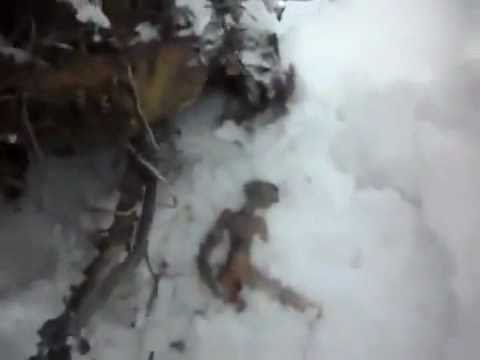 Siberia / Russia Alien Crash Video