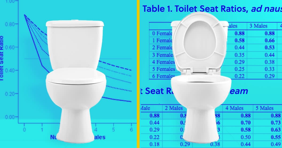 There's a Solution to the Toilet Seat Up or Down Debate. Maybe? Sort Of?