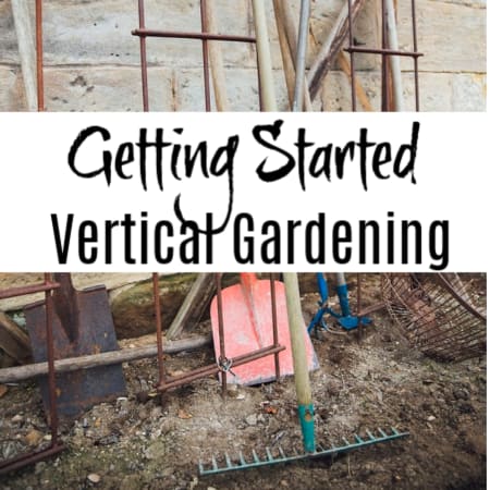 Getting Started Vertical Gardening: Tools You'll Need