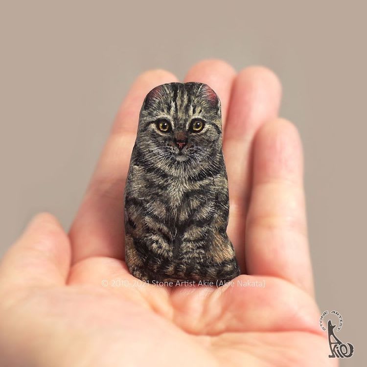 Artist Transforms Ordinary Rocks Into Lifelike Animals You Can Hold in Your Hand