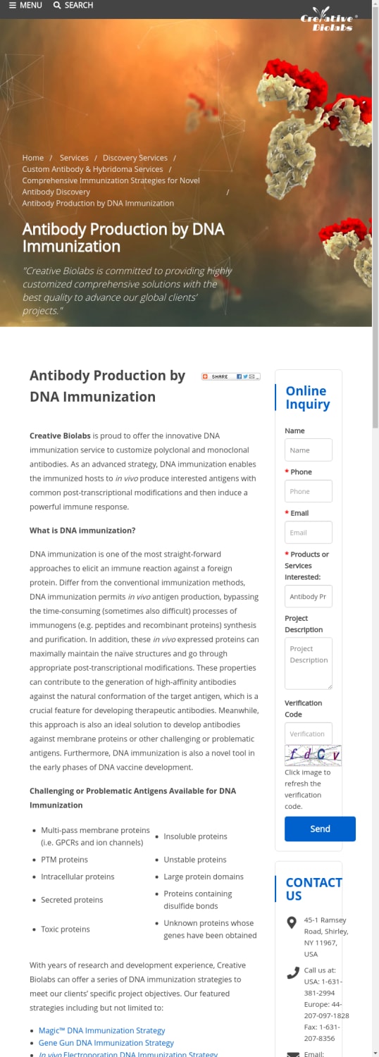 Antibody Production by DNA Immunization - Creative Biolabs