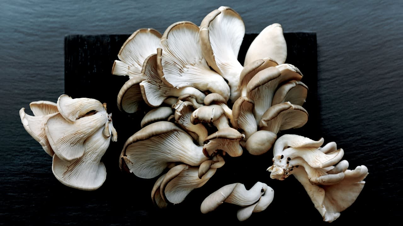 Growing Mushrooms at Home Is Easier Than You'd Think