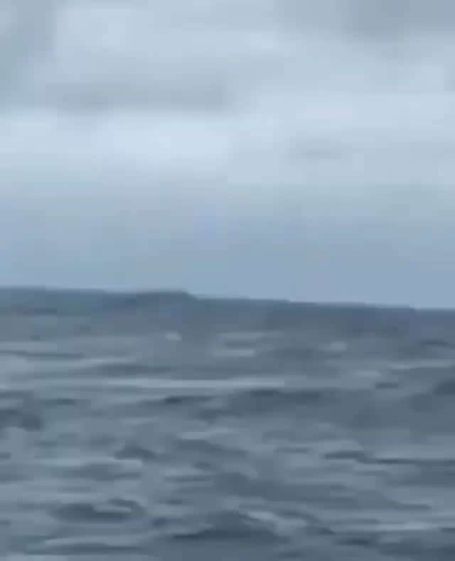 Another breathtaking close encounter with a blue whale was captured! I was out of breath for a minute thinking this whale is going to fall on top of the boat.