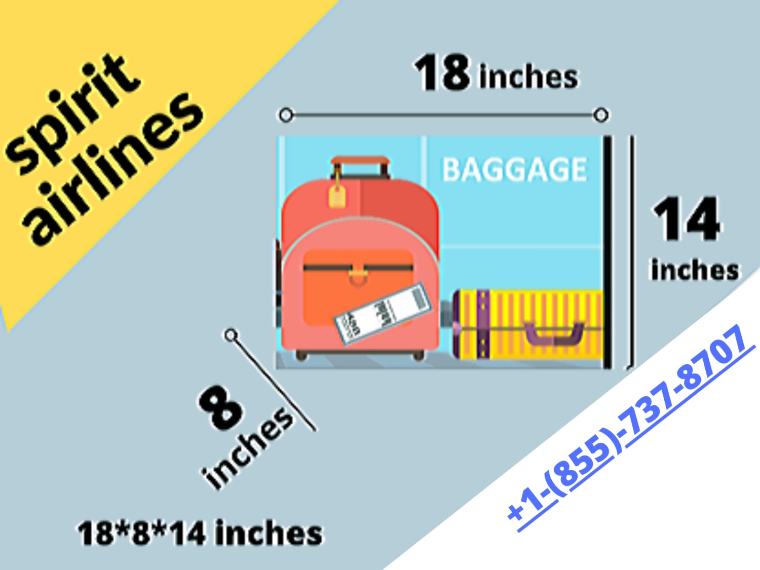 Spirit Airlines Baggage Fees & Policy 2020 - What's New?