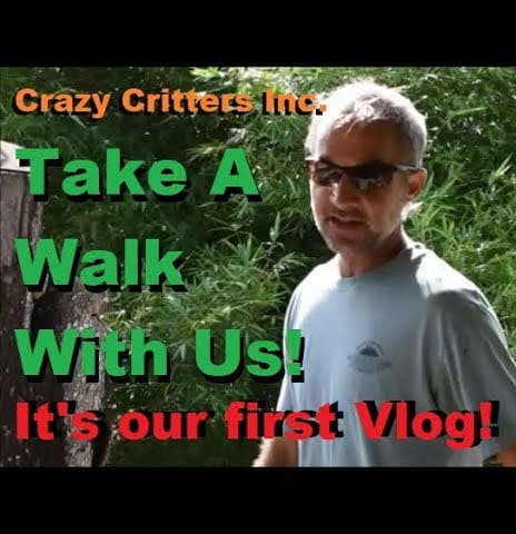 Crazy Critters Inc. Take A Walk With Us... It is our first official vlog!