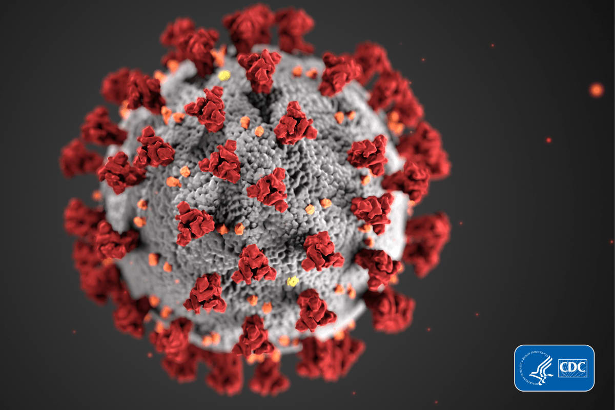 The Coronavirus Collection: Snopes Fact Checks About COVID-19