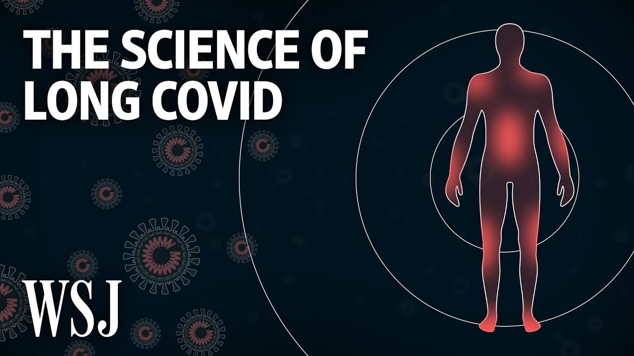 What Causes Long Covid and Who Is Most at Risk? | WSJ