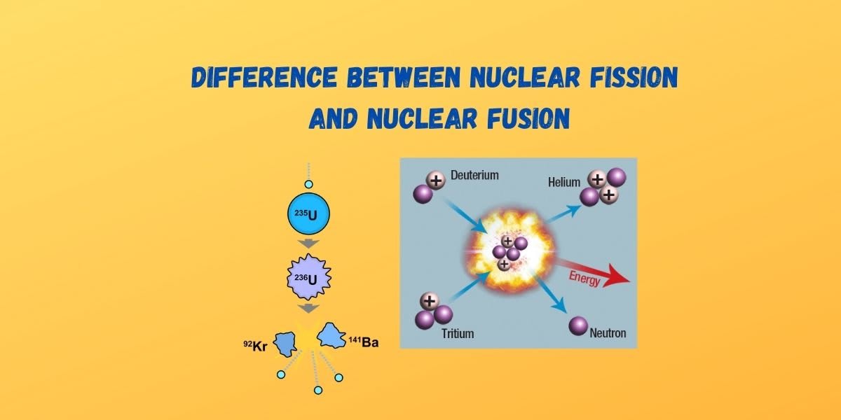 Difference between Nuclear fission and Nuclear fusion - CBSE Digital Education