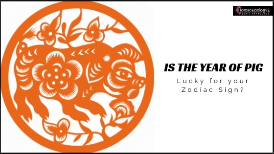 Is the Year of Pig Lucky for your Zodiac Sign?