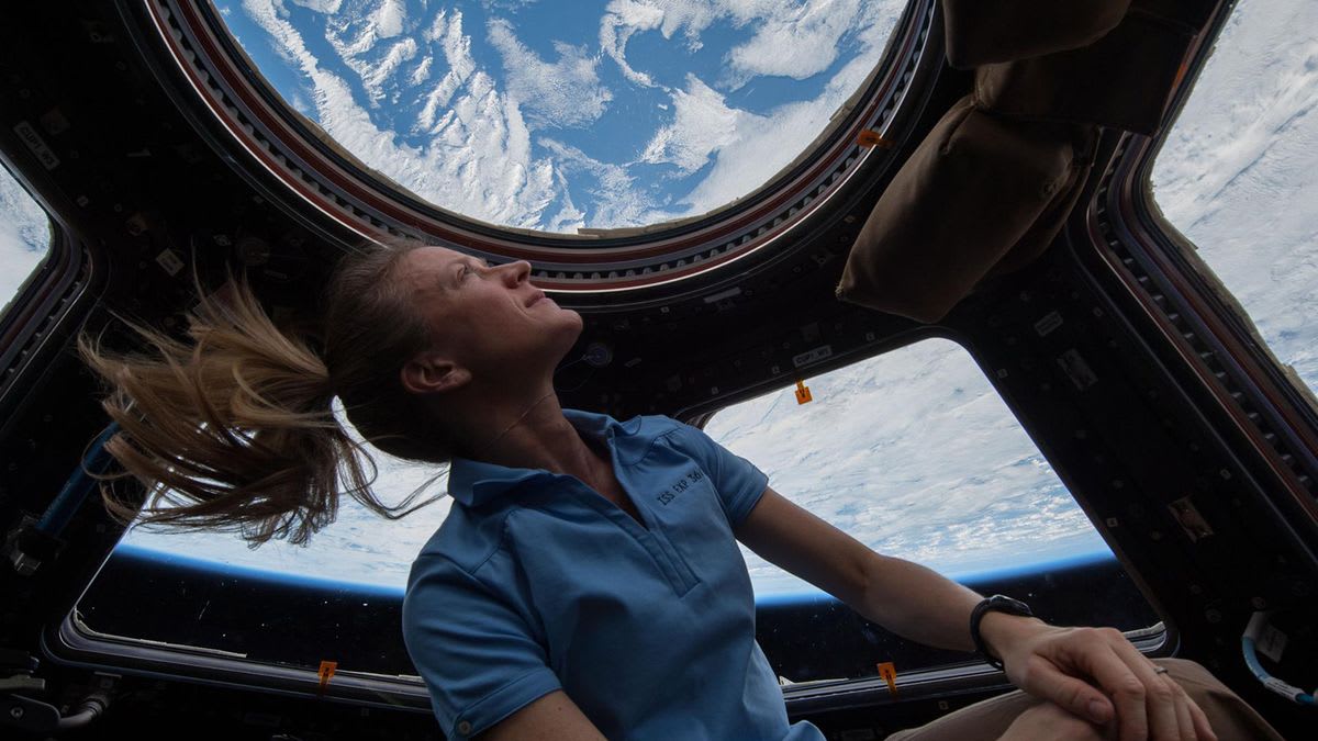 Got $250,000 Sitting Around? Become a Space Tourist