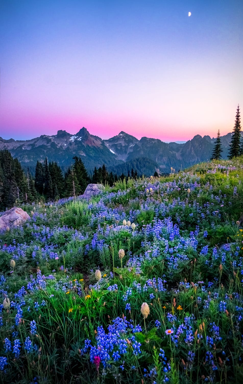 Spent sunset up at Mt Rainier- it is by far one of the most enchanting places I've ever visited!