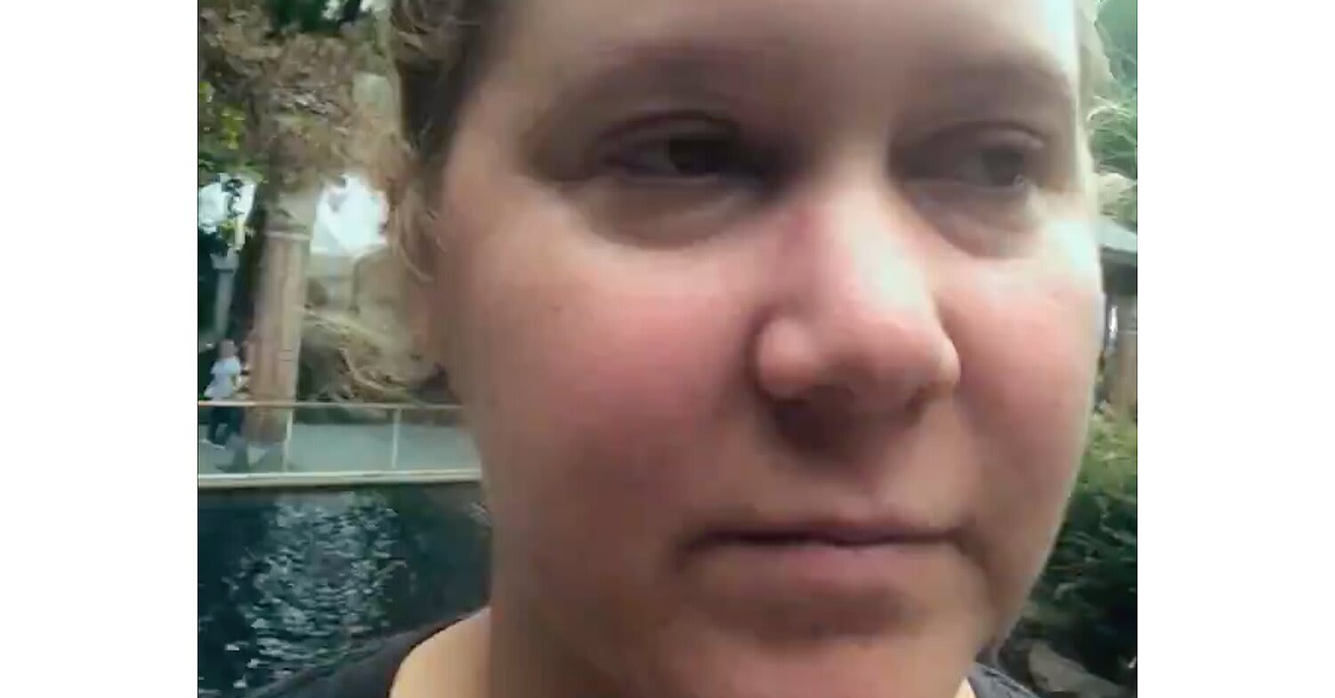 Tears of Joy! Amy Schumer Shares the Moment She Learned She Was Pregnant in Expecting Amy