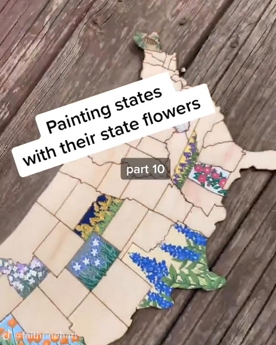 Painting The States With Their State Flower