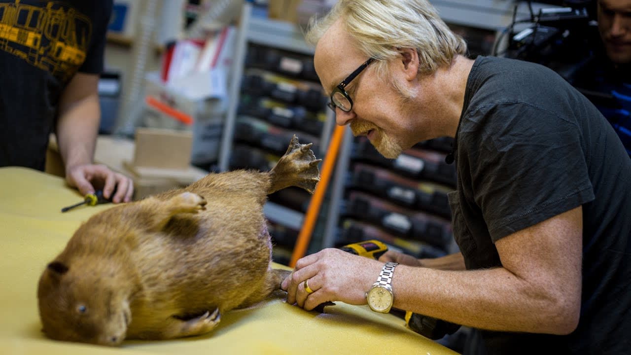 Adam Savage's One Day Builds: Traveling Beaver Box