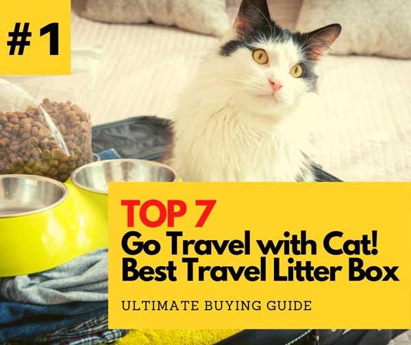 Top 7 Best Travel Litter Box Portable in 2020