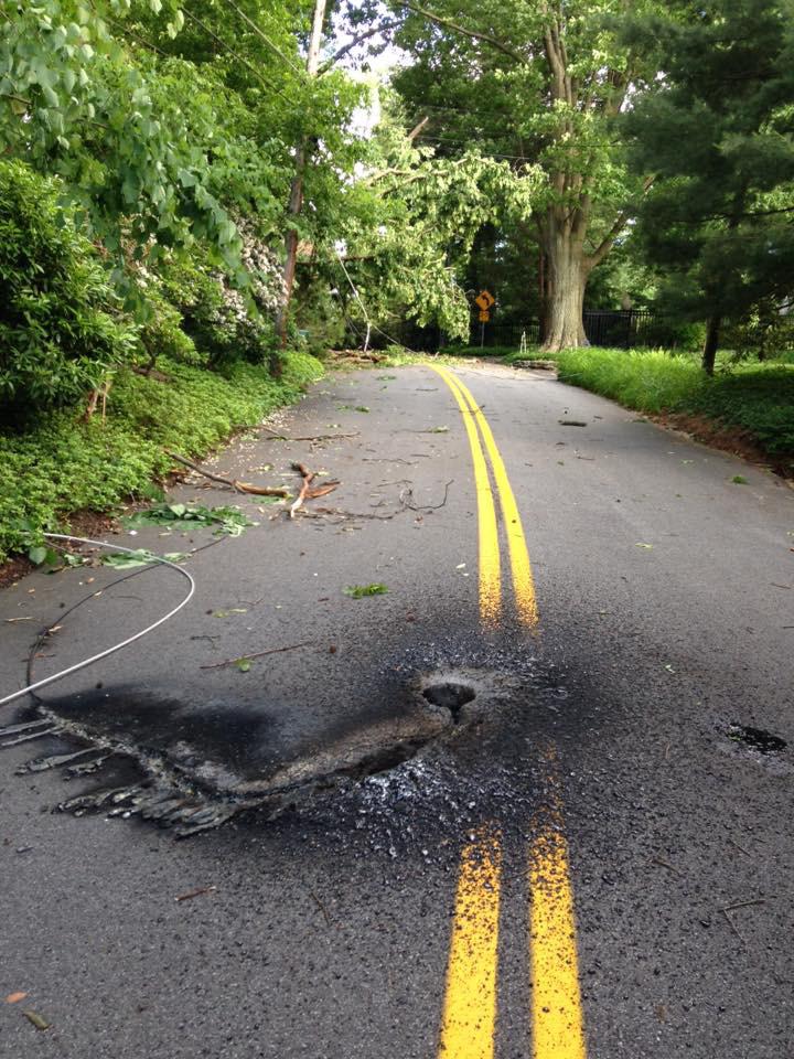 Wire that fell in the road