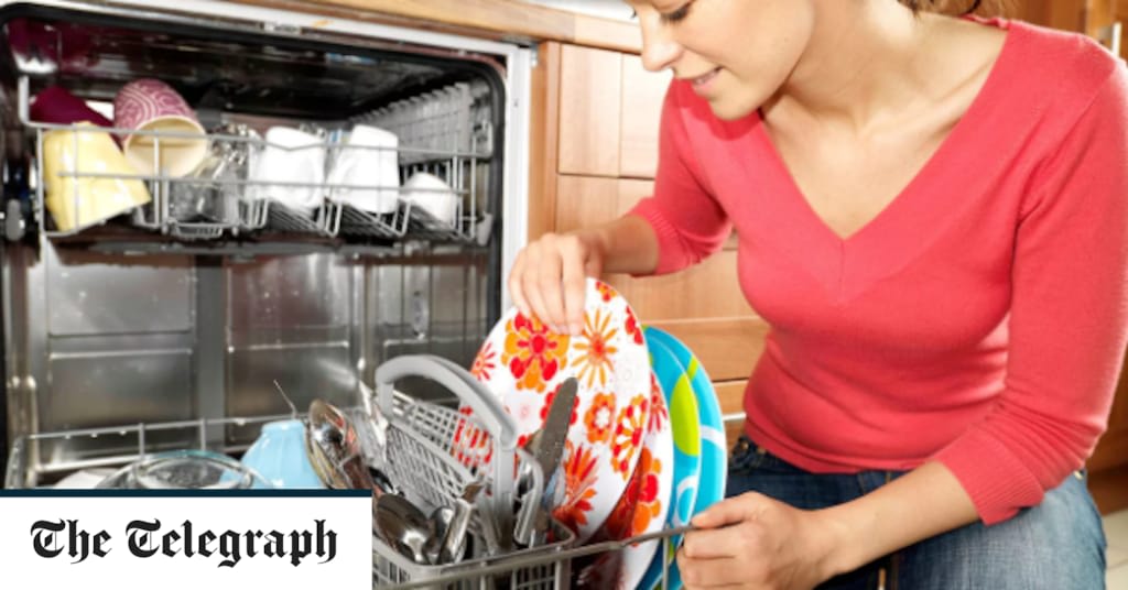 What is the best dishwasher and why should you get one?