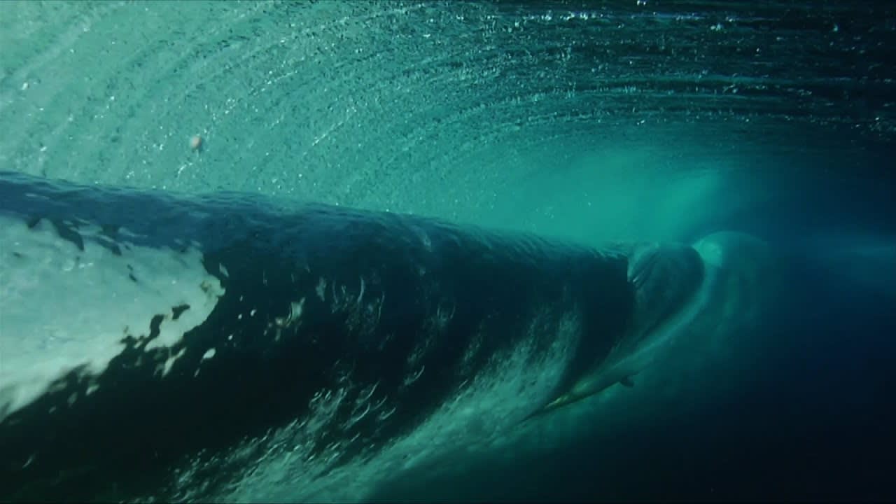 Anatomy of a Wave - Surf Chronicles Clip - RedBull.tv
