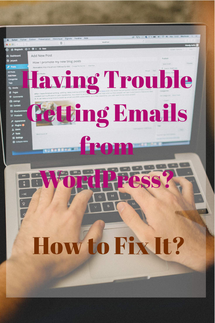 Why WordPress Not Sending Emails? How to Fix It?