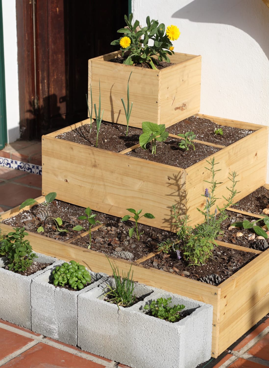 Small Outdoor Space? Consider “Square Foot Gardening”