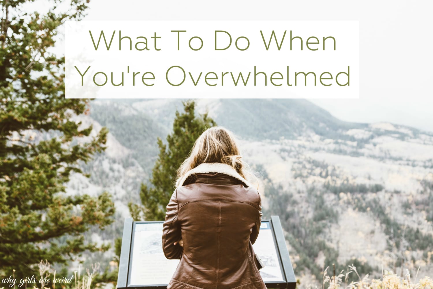 What To Do When You're Overwhelmed