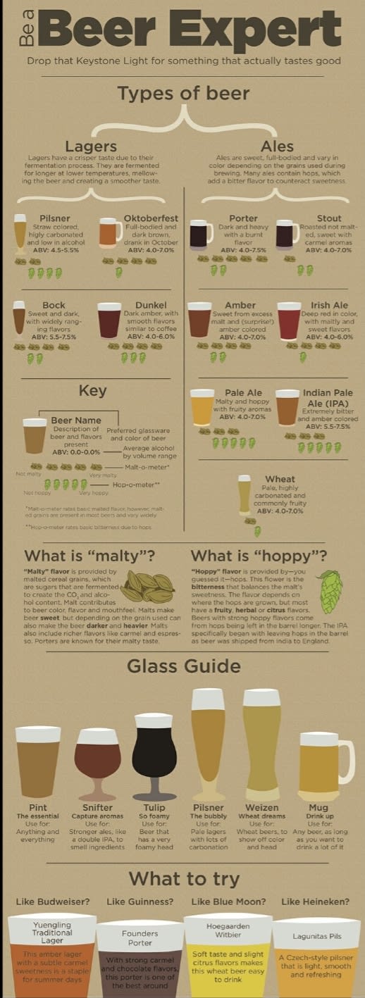 Guide to beer