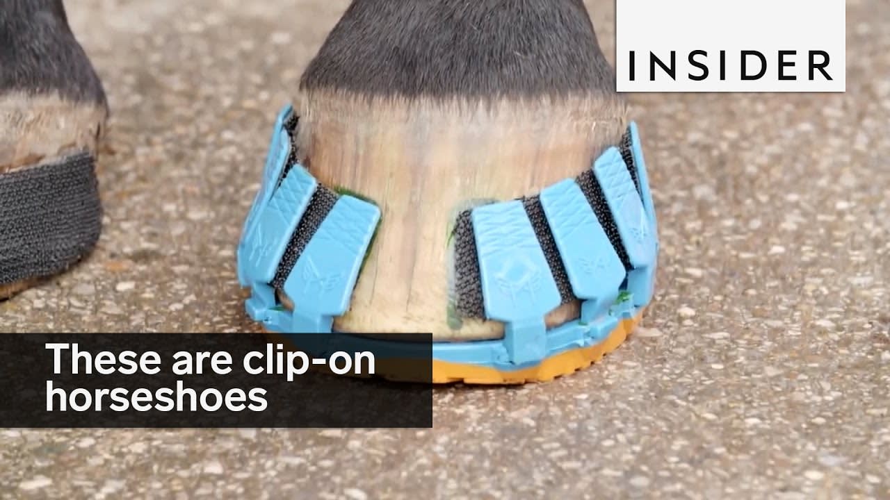 These are clip-on horseshoes