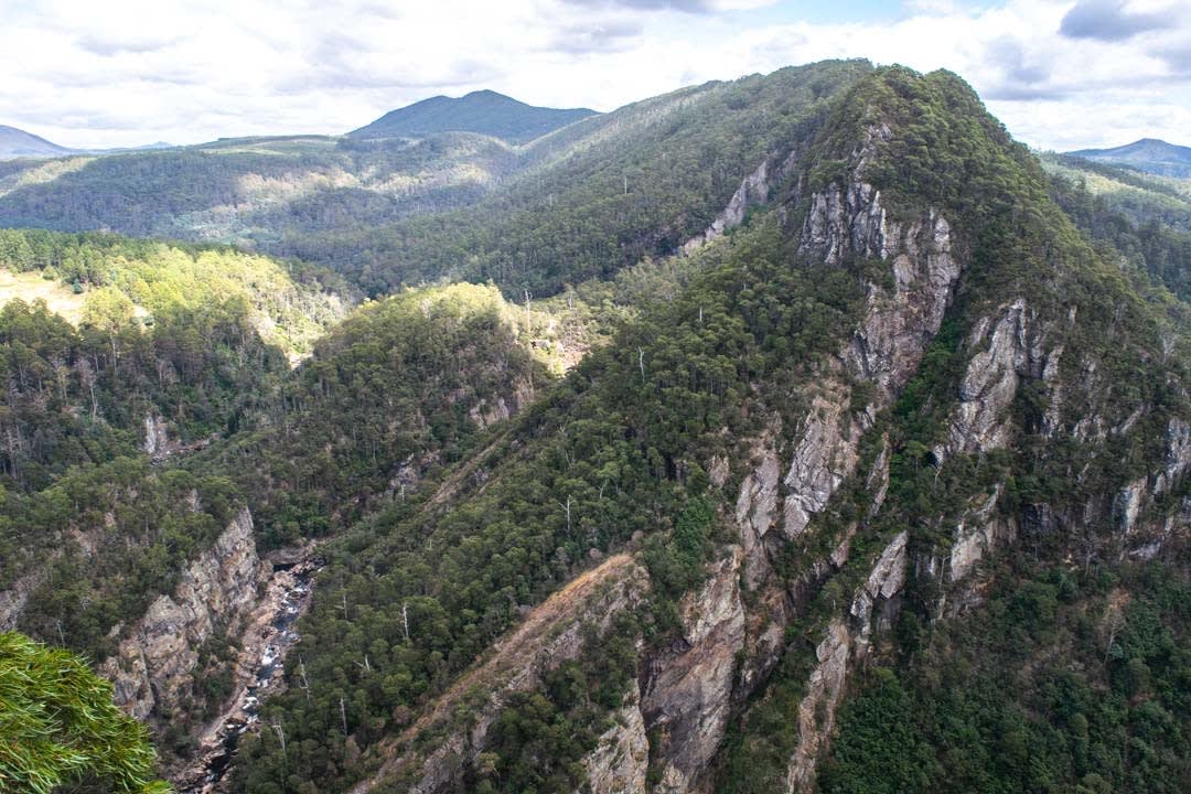 A Nature Walk With a View at Leven Canyon, Tasmania