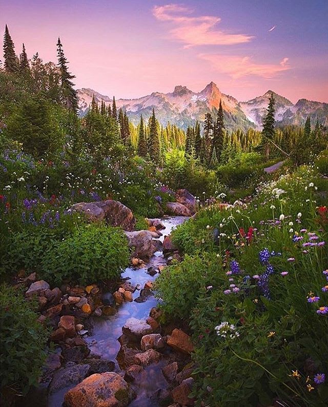 Mount Rainier National Park, Washington, United States