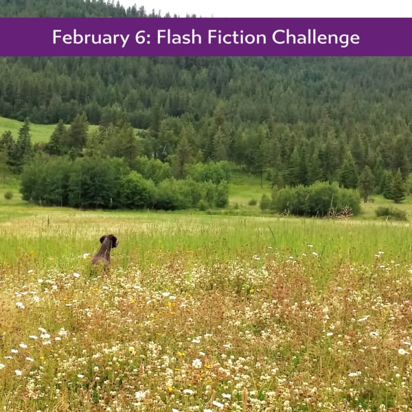 The Picture #flashfiction
