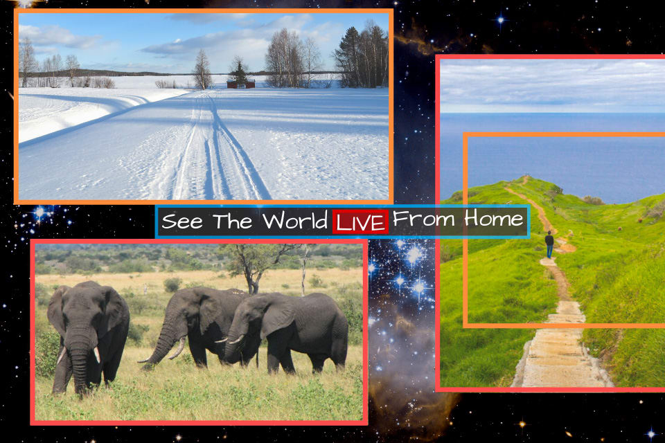 What is happening right now: See the World Live from Home - NomadicMun - Travelogue!!1