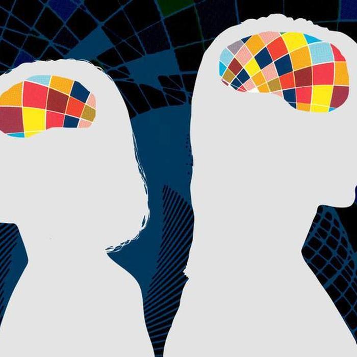 7 TED Talks on the complexity of memory