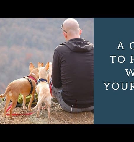 Dog Hiking: A Guide to Hiking With Your Puppy